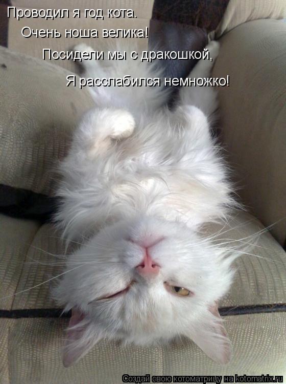 Котоматрица: Проводил я год кота. Очень ноша велика! Посидели мы с дракошкой, Я расслабился немножко!