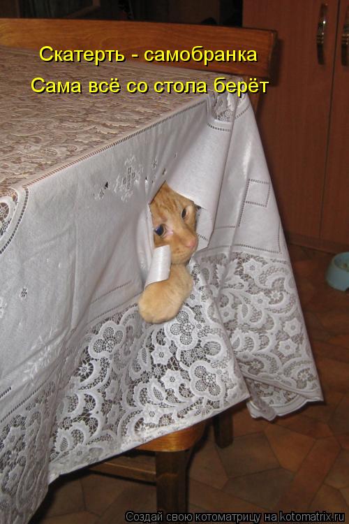 Котоматрица: Скатерть - самобранка Сама всё со стола берёт