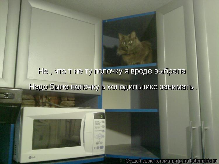 Котоматрица: Не , что т не ту полочку я вроде выбрала Надо было полочку в холодильнике занимать .