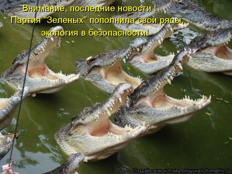 Котоматрица: Внимание, последние новости ! Партия "Зеленых" пополнила свои ряды, экология в безопасности!