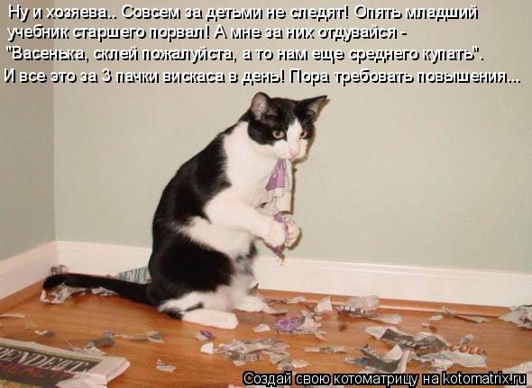 Котоматрица: Ну и хозяева.. Совсем за детьми не следят! Опять младший учебник старшего порвал! А мне за них отдувайся - "Васенька, склей пожалуйста, а то на
