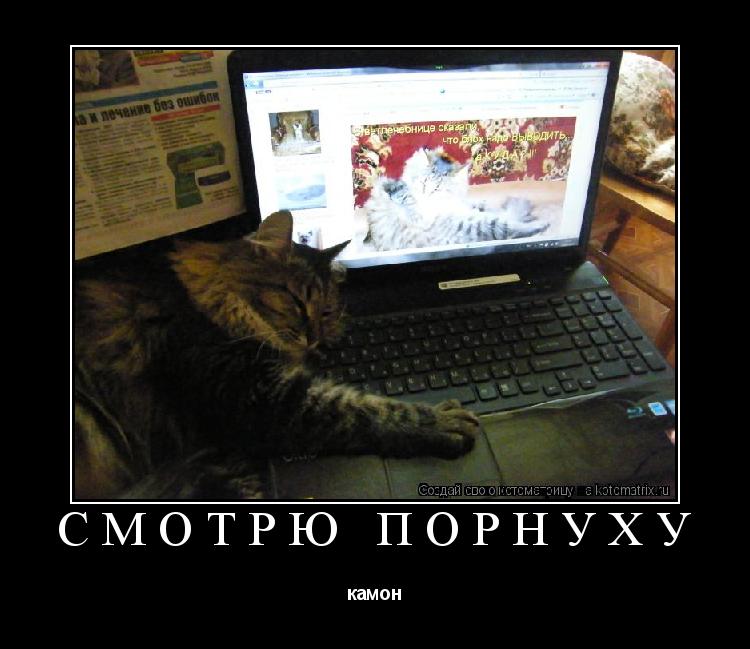 смотрю порнуху камон... Котоматрица: смотрю порнуху камон