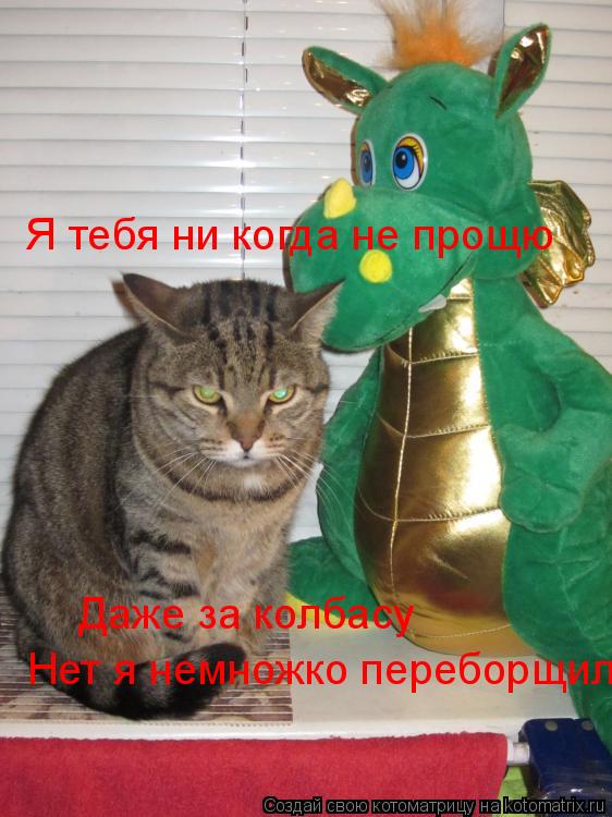 Котоматрица: Я тебя ни когда не прощю Даже за колбасу Нет я немножко переборщил