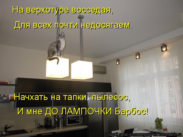 На верхотуре восседая, Для всех почти недосягаем. Начхать на тапки, пылесос, И мне ДО ЛАМПОЧКИ Барбос... Котоматрица: На верхотуре восседая, Для всех почти недосягаем. Начхать на тапки, пылесос, И мне ДО ЛАМПОЧКИ Барбос!