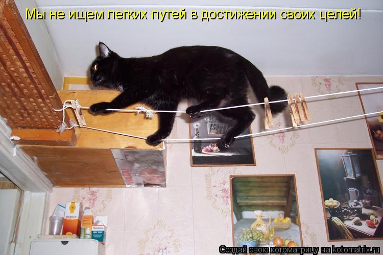 Мы не ищем легких путей в достижении своих целей!... Котоматрица: Мы не ищем легких путей в достижении своих целей!