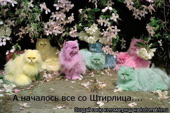 А началось все со Штирлица....... Котоматрица: А началось все со Штирлица....