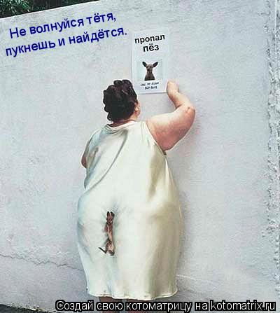 Котоматрица: Не волнуйся тётя, пукнешь и найдётся.