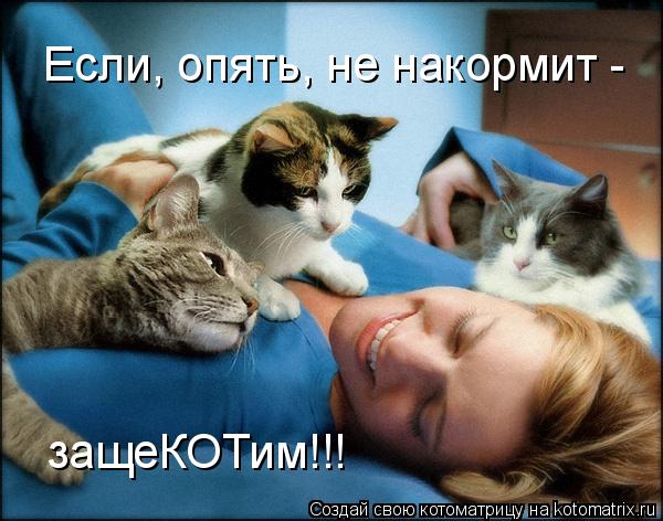 Котоматрица: Если, опять, не накормит -  защеКОТим!!!