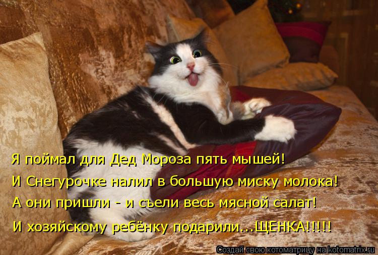 Я поймал для Дед Мороза пять мышей! И Снегурочке налил в большую миску молока! А они пришли - и съели... Котоматрица: Я поймал для Дед Мороза пять мышей! И Снегурочке налил в большую миску молока! А они пришли - и съели весь мясной салат! И хозяйскому ребёнку