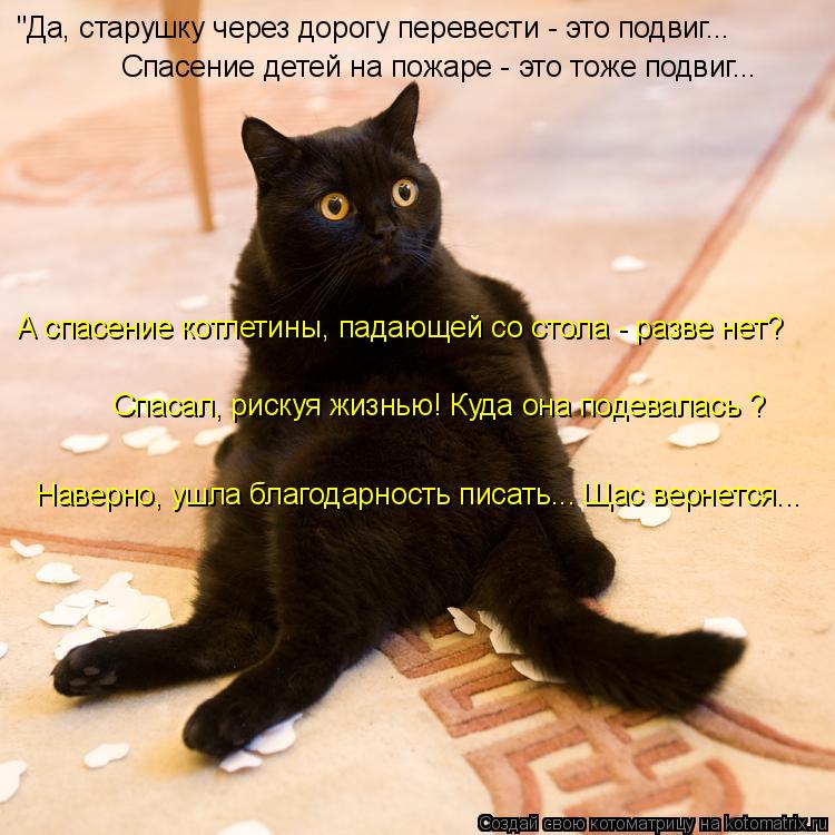 Котоматрица: "Да, старушку через дорогу перевести - это подвиг... Спасение детей на пожаре - это тоже подвиг... А спасение котлетины, падающей со стола - разв