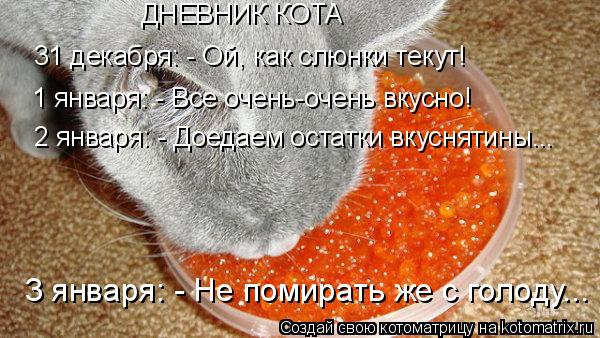 Котоматрица: ДНЕВНИК КОТА 31 декабря: - Ой, как слюнки текут! 1 января: - Все очень-очень вкусно! 2 января: - Доедаем остатки вкуснятины... 3 января: - Не помирать