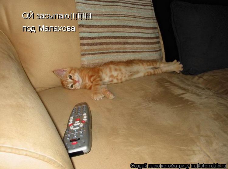 Котоматрица: ОЙ засыпаю  !!!!!!!!! под Малахова