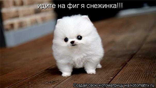 Котоматрица: идите на фиг я снежинка!!!