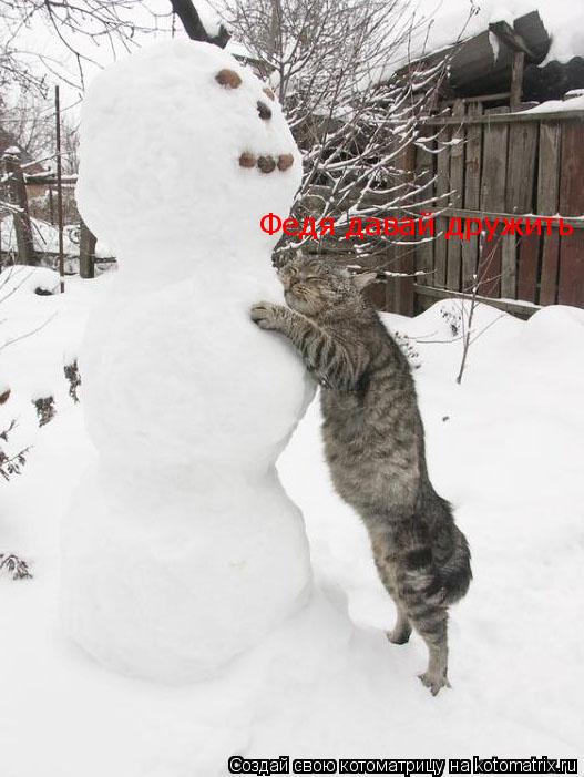 Котоматрица: Федя давай дружить
