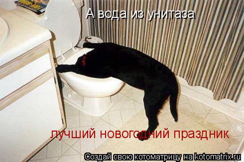 Котоматрица: А вода из унитаза  лучший новогодний праздник