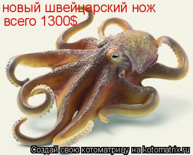 Котоматрица: новый швейцарский нож  всего 1300$
