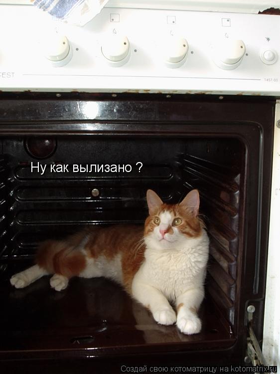Котоматрица: Ну как вылизано ?