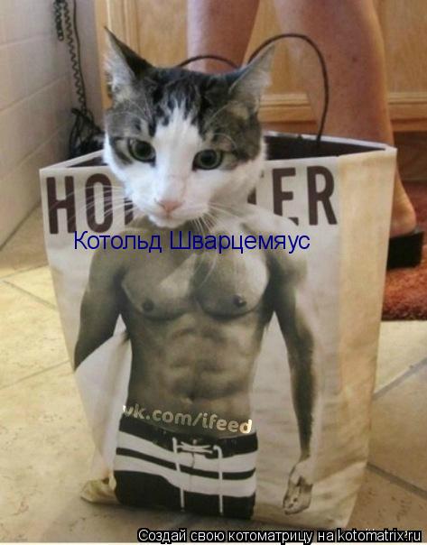 Котоматрица: Котольд Шварцемяус