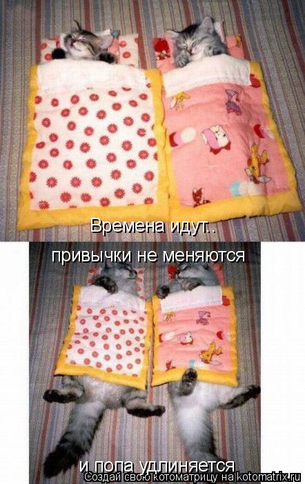 Котоматрица: Времена идут.. и попа удлиняется привычки не меняются