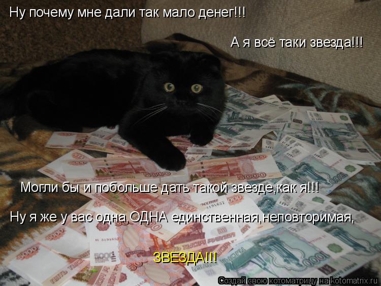 Котоматрица: Ну почему мне дали так мало денег!!! А я всё таки звезда!!! Могли бы и побольше дать такой звезде,как я!!! Ну я же у вас одна,ОДНА единственная,не