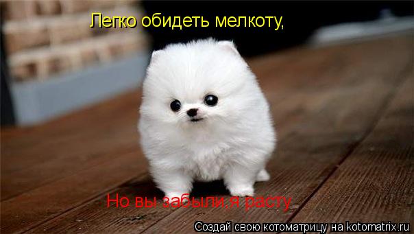 Котоматрица: Легко обидеть мелкоту, Но вы забыли,я расту