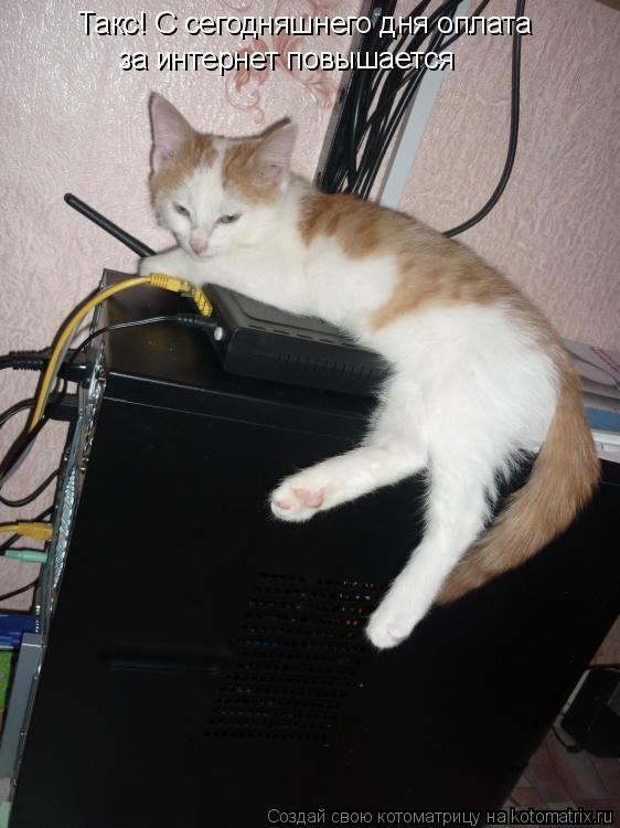Котоматрица: Такс! С сегодняшнего дня оплата за интернет повышается