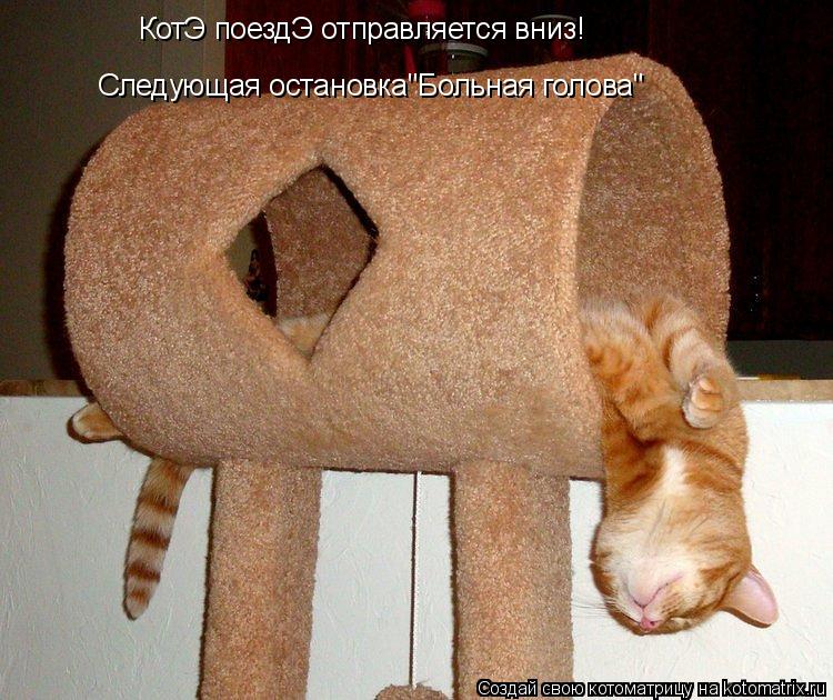 Котоматрица: КотЭ поездЭ отправляется вниз! Следующая остановка"Больная голова"