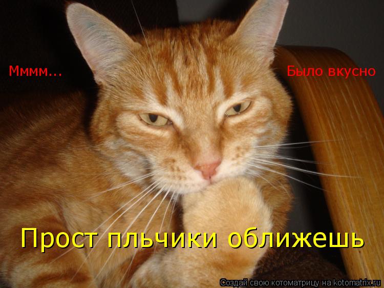 Котоматрица: Мммм...                                               Было вкусно Прост пльчики оближешь