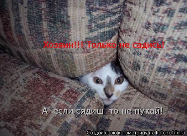 Котоматрица: Хозяин!!! Только не садись! А  если сядиш  то не пукай!