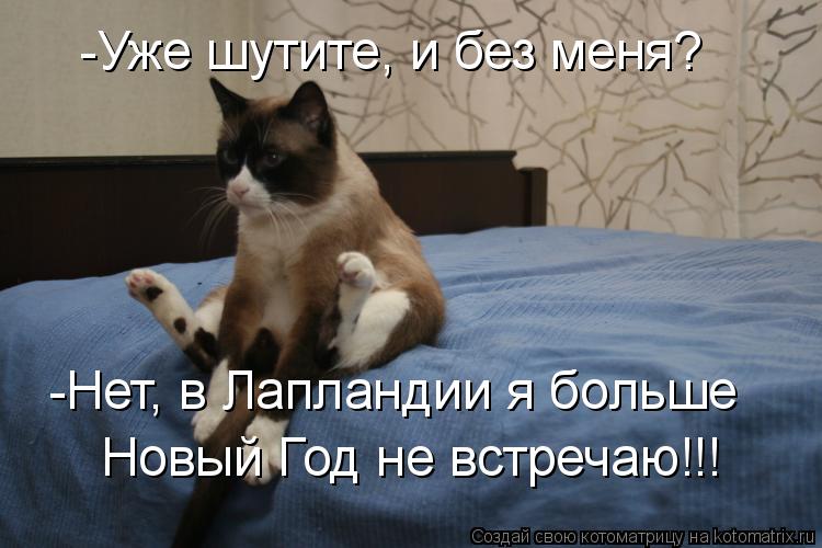 Котоматрица: -Уже шутите, и без меня? -Нет, в Лапландии я больше Новый Год не встречаю!!!