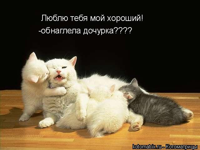 Котоматрица: Люблю тебя мой хороший! -обнаглела дочурка????