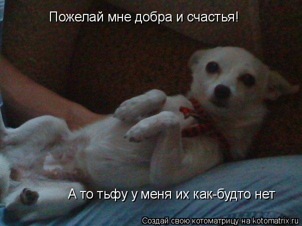 Котоматрица: Пожелай мне добра и счастья! А то тьфу у меня их как-будто нет