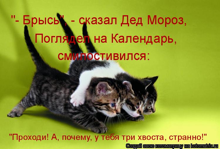 Котоматрица: "- Брысь", - сказал Дед Мороз,  Поглядел на Календарь, смилостивился: "Проходи! А, почему, у тебя три хвоста, странно!"