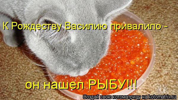 Котоматрица: К Рождеству Василию привалило -  он нашел РЫБУ!!!