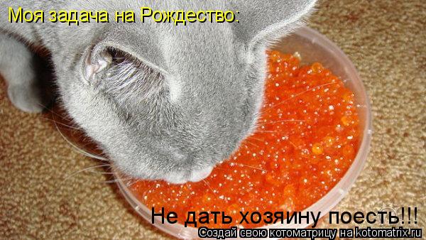 Котоматрица: Моя задача на Рождество: Не дать хозяину поесть!!!
