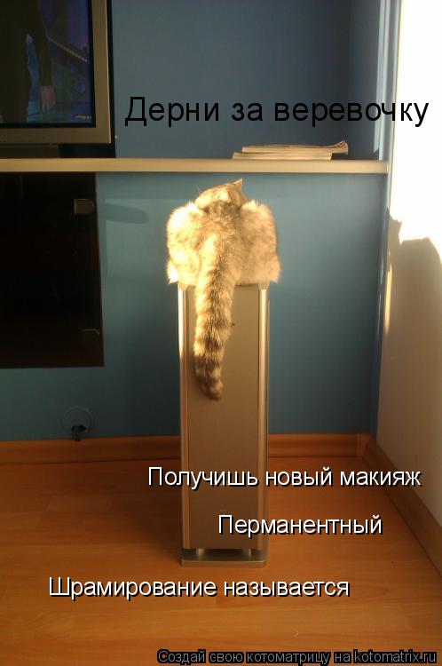 Котоматрица: Получишь новый макияж Перманентный Шрамирование называется Дерни за веревочку