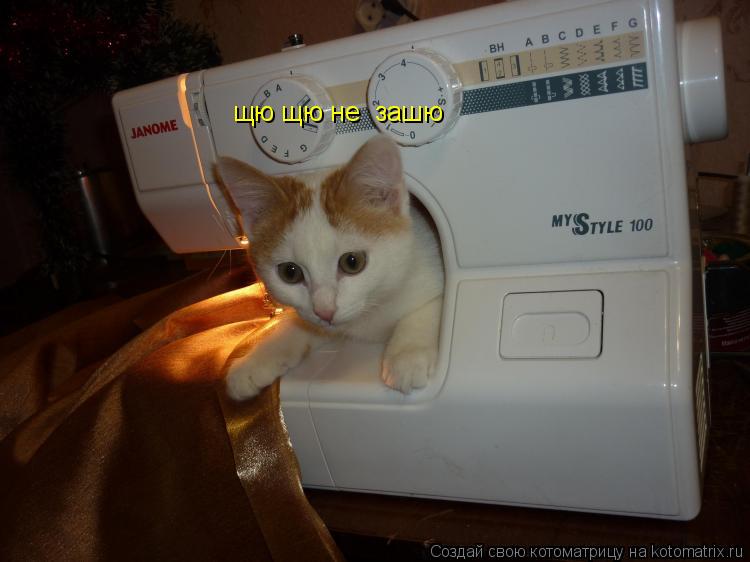 Котоматрица: щю щю не  зашю