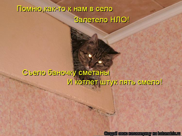 Котоматрица: Помню,как-то к нам в село Залетело НЛО! Съело баночку сметаны И котлет штук пять смело!