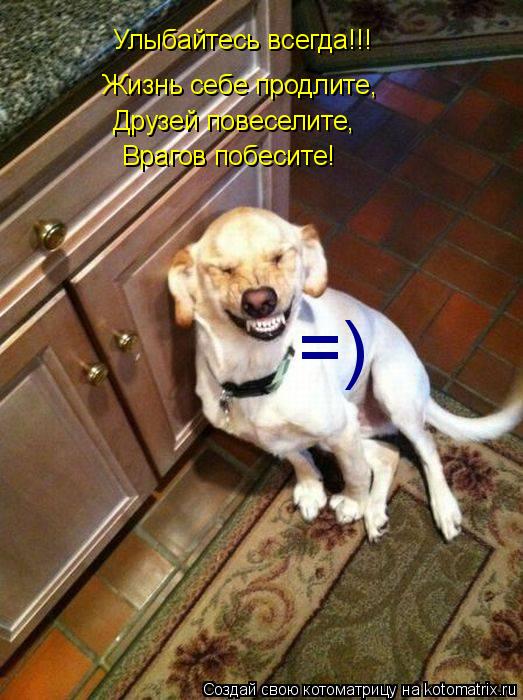 Котоматрица: Улыбайтесь всегда!!! Жизнь себе продлите, Друзей повеселите, Врагов побесите! =)