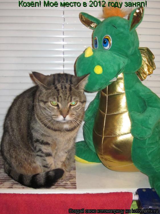 Котоматрица: Козёл! Моё место в 2012 году занял!