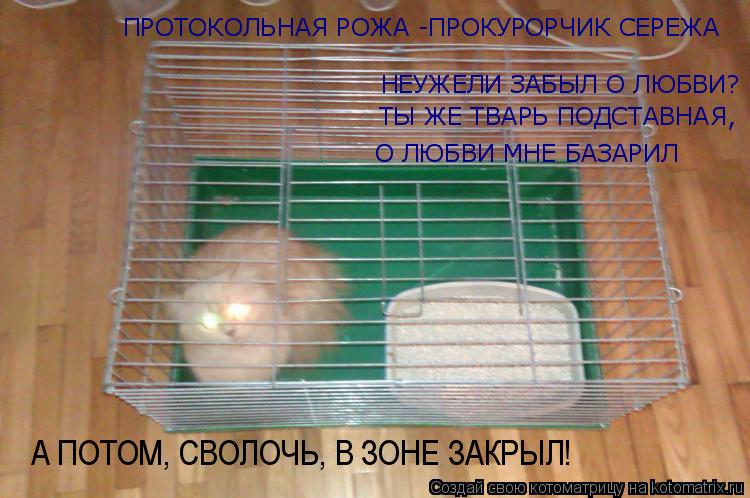 Котоматрица: НЕУЖЕЛИ ЗАБЫЛ О ЛЮБВИ? ТЫ ЖЕ ТВАРЬ ПОДСТАВНАЯ, О ЛЮБВИ МНЕ БАЗАРИЛ ПРОТОКОЛЬНАЯ РОЖА -ПРОКУРОРЧИК СЕРЕЖА А ПОТОМ, СВОЛОЧЬ, В ЗОНЕ ЗАКРЫЛ!