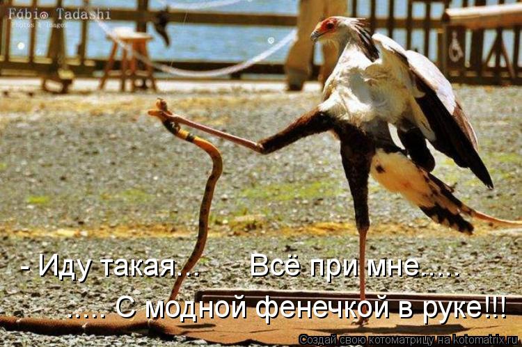 Котоматрица: - Иду такая...      Всё при мне..... ..... С модной фенечкой в руке!!!