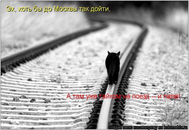 Котоматрица: Эх, хоть бы до Москвы так дойти,  А там уже тайком на поезд -- и папа!
