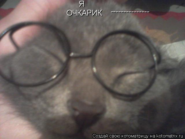 Котоматрица: ОЧКАРИК --------------- Я