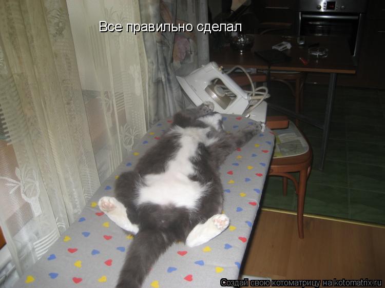 Котоматрица: Все правильно сделал