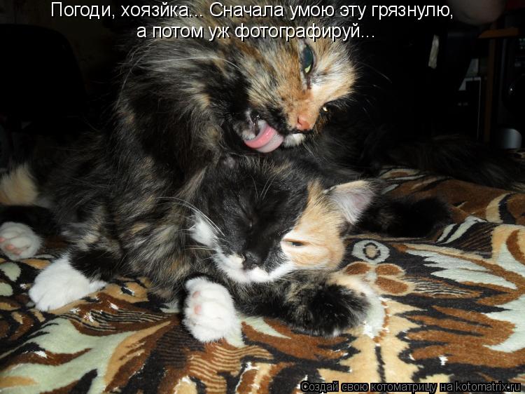 Котоматрица: Погоди, хоязйка... Сначала умою эту грязнулю, а потом уж фотографируй...