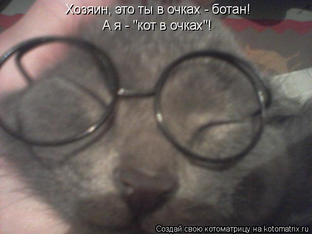 Котоматрица: Хозяин, это ты в очках - ботан! А я - "кот в очках"!