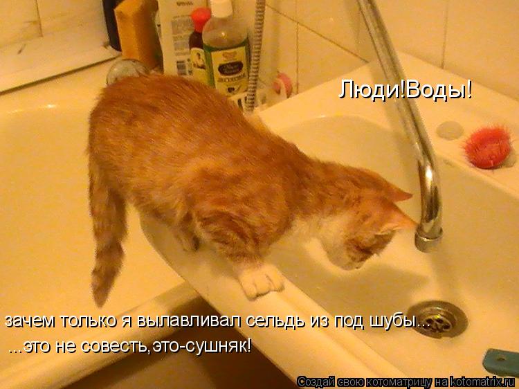 Котоматрица: Люди!Воды! зачем только я вылавливал сельдь из под шубы... ...это не совесть,это-сушняк!