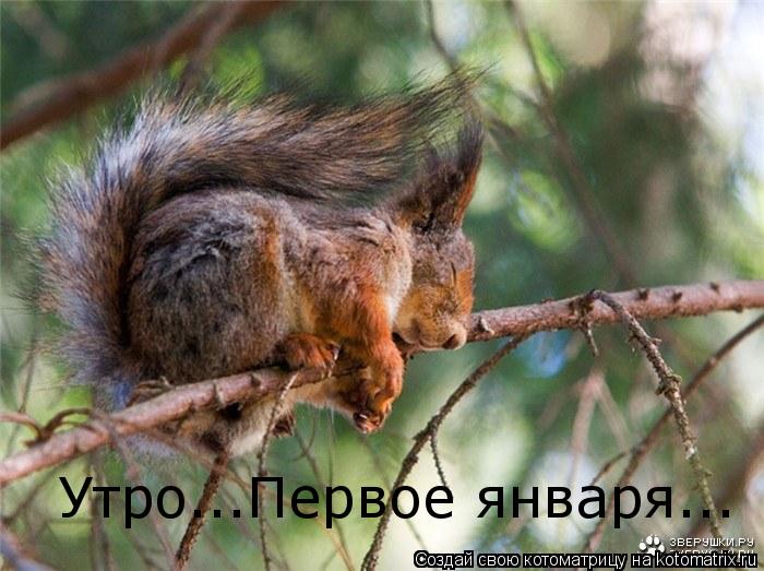 Котоматрица: Утро...Первое января... Утро...Первое января...