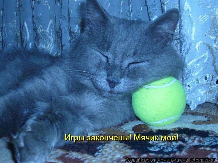 Котоматрица: Игры закончены! Мячик мой!